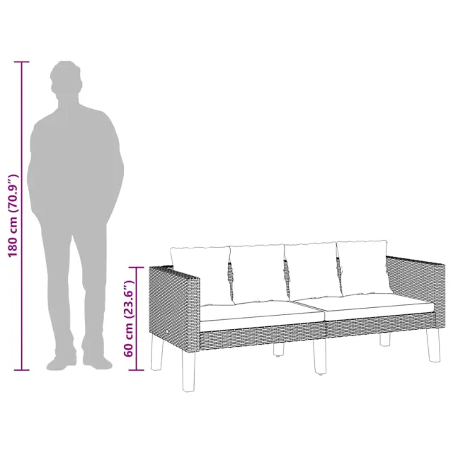 Canapé de jardin à 2 places avec coussins Résine tressée Noir