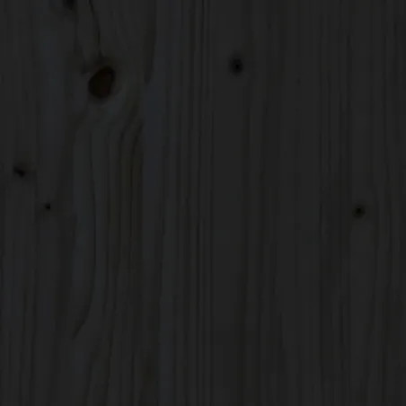 Cadre de lit sans matelas noir 200x200 cm bois massif