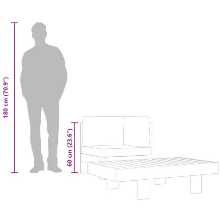 Salon de jardin 2 pcs avec coussins gris foncé Bois d'acacia