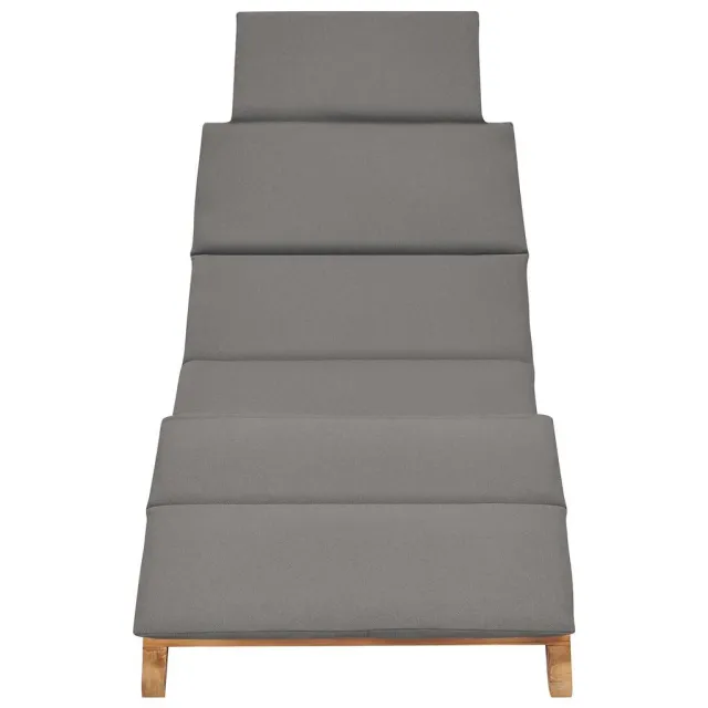 Chaise longue pliable avec coussin gris foncé Bois de teck