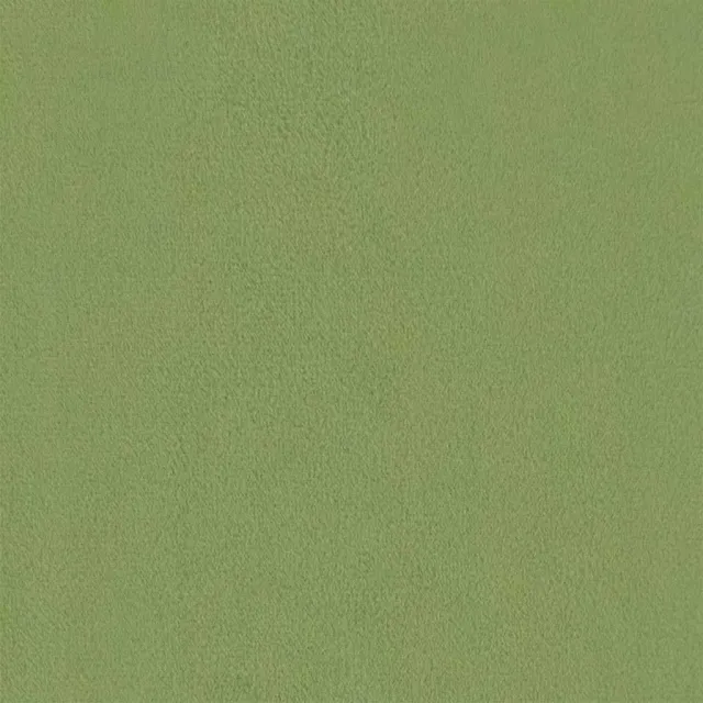 Fauteuil à oreilles avec tabouret vert clair velours