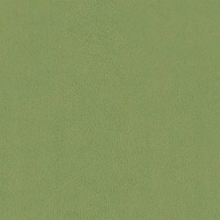 Fauteuil à oreilles avec tabouret vert clair velours