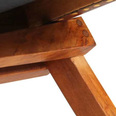 Chaise de relaxation pliable Marron Cuir véritable