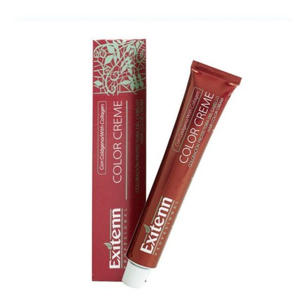 Permanente Kleur Color Creme Exitenn Color Creme Nº 12/1 Platinum Ash