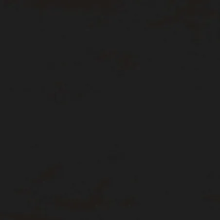 Cadre de lit à ressorts noir 80x200 cm velours