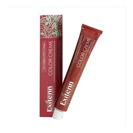 Tintura Permanente Color Creme Exitenn Color Creme Nº 4 Medium Brown