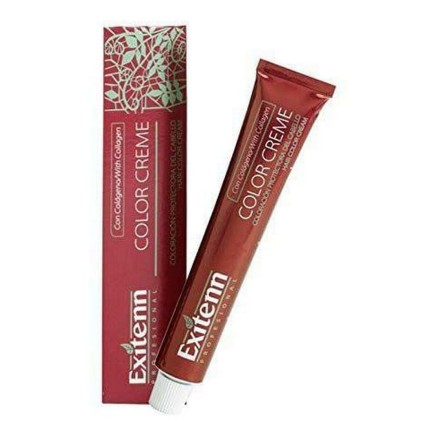 Tinte Permanente Color Creme Exitenn Color Creme Nº 8,1 Light Ash Blo