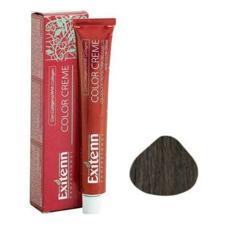 Tinte Permanente Color Creme Exitenn Color Creme Nº 8,1 Light Ash Blo