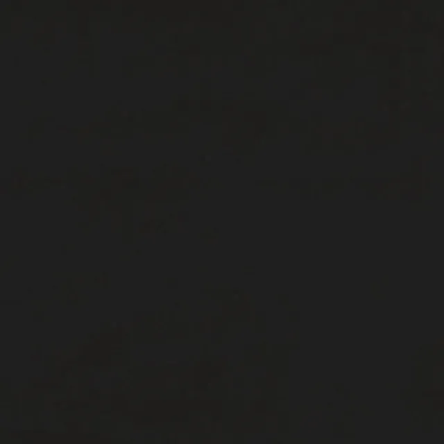 Cadre de lit sans matelas noir velours