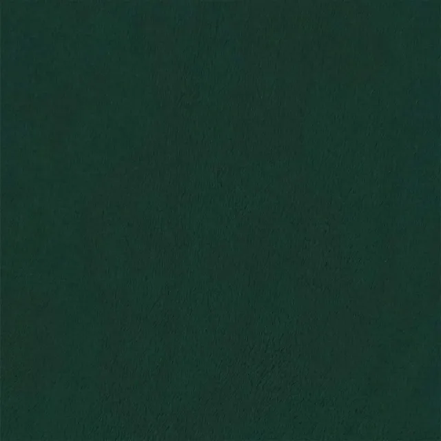 Sommier à lattes de lit et matelas Vert foncé 180x200cm Velours