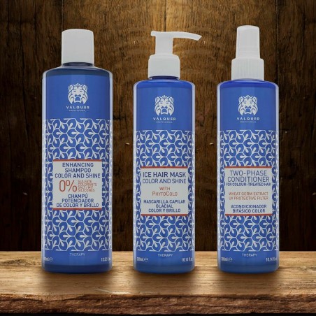 Maschera per Capelli Valquer Válquer Premium 300 ml