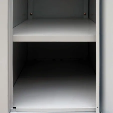 Armoire à casiers Gris 45 x 90 x 180 cm