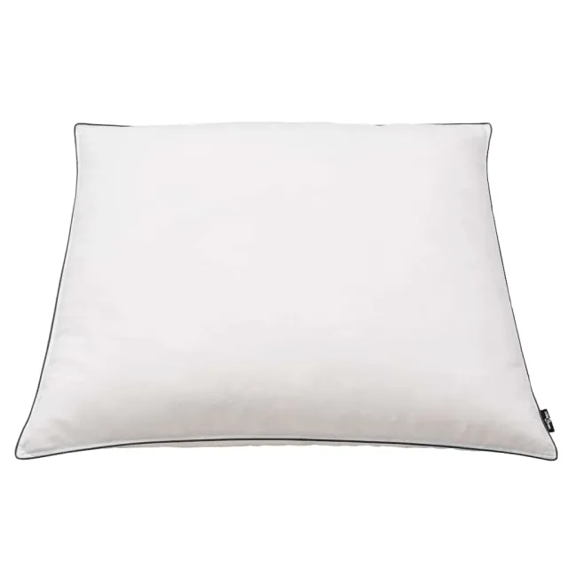 Oreiller lot de 2 Remplissage de duvet 80 x 80 cm Blanc