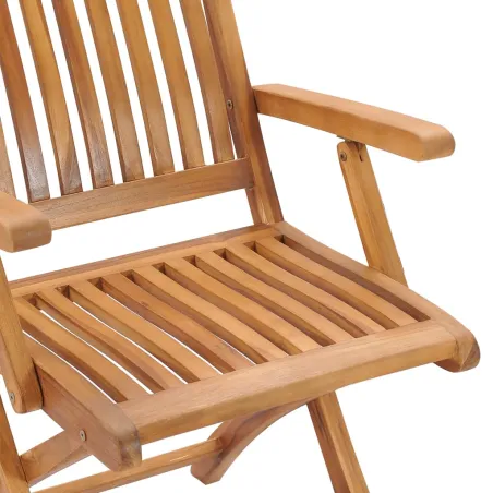 Chaises de jardin lot de 2 et coussins vert Bois de teck massif