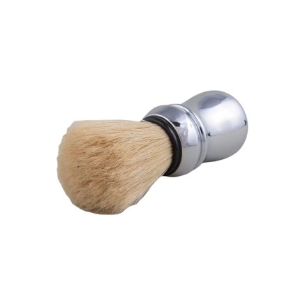 Blaireau Proraso 2