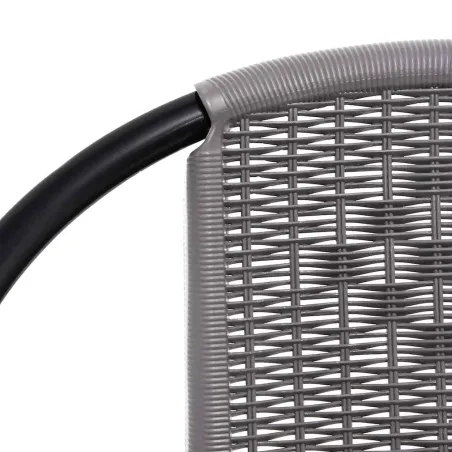 Chaises de jardin lot de 2 Plastique Rotin et acier 110 kg