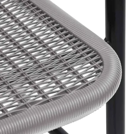 Chaises de jardin lot de 2 Plastique Rotin et acier 110 kg