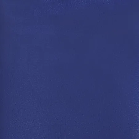 Chaise de jeu Noir et bleu Similicuir