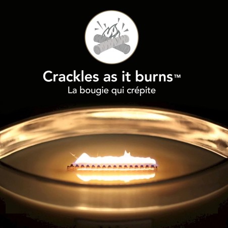 Geurkaars Woodwick Ellipse Candles 453 g