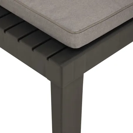 Chaise de salon de jardin avec coussin Plastique Gris