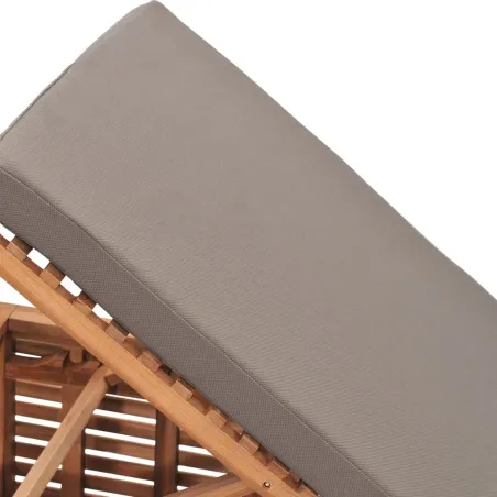 Chaise longue avec coussin gris foncé Bois de teck solide