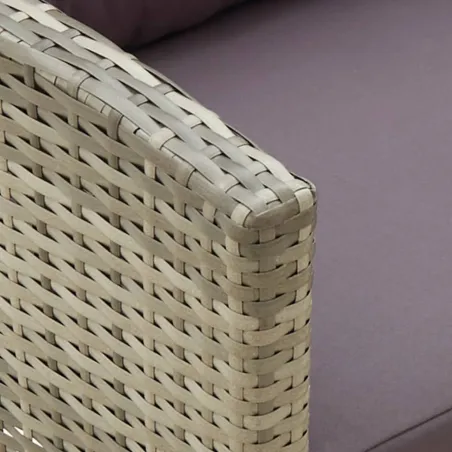 Chaise de jardin avec coussins Résine tressée Gris