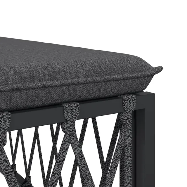 Salon de jardin avec coussins 2 pcs anthracite acier