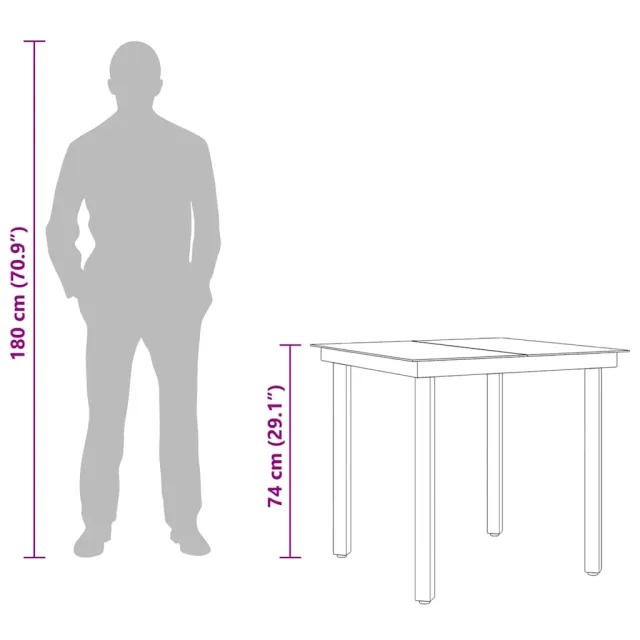 Table à dîner de jardin Noir 80x80x74 cm Acier et verre
