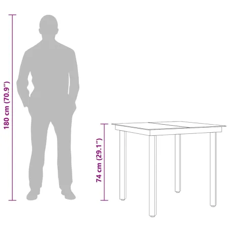 Table à dîner de jardin Noir 80x80x74 cm Acier et verre