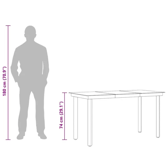 Table à dîner de jardin Noir 140x70x74 cm Acier et verre