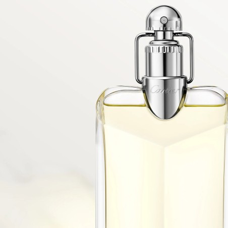 Herrenparfüm Cartier Déclaration EDT 100 ml