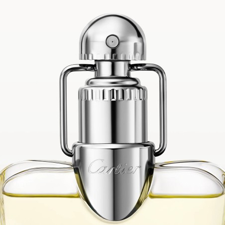 Herrenparfüm Cartier Déclaration EDT 100 ml