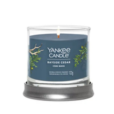 Geurkaars Yankee Candle Bayside Cedar 122 ml