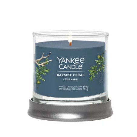 Geurkaars Yankee Candle Bayside Cedar 122 ml
