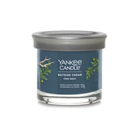 Geurkaars Yankee Candle Bayside Cedar 122 ml