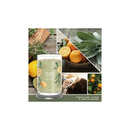 Scented Candle Yankee Candle Sage & Citrus 567 g 2