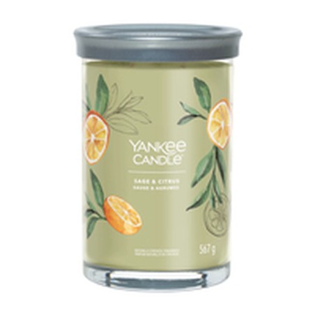 Candela Profumata Yankee Candle Sage & Citrus 567 g