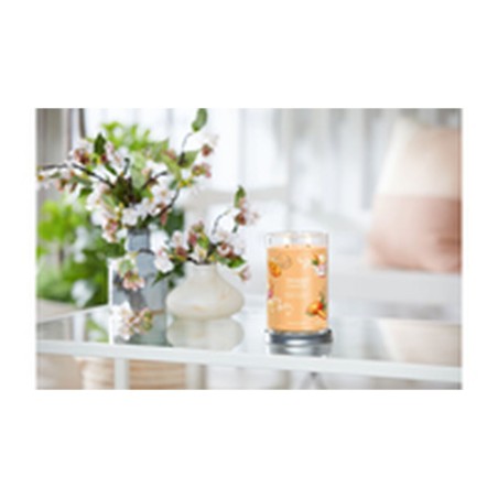 Duftkerze Yankee Candle Mango Ice Cream 567 g