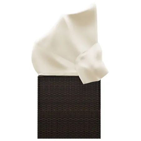 Lit de salon d'extérieur toit et coussins Marron Résine tressée