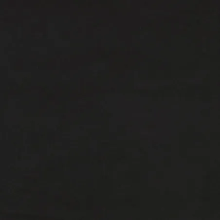 Lit de jour avec gigogne et tiroirs sans matelas noir 100x200cm