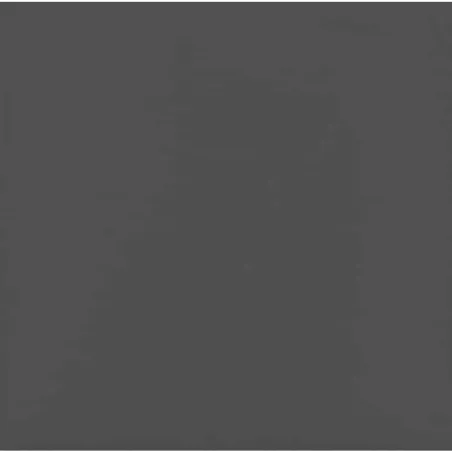 Canapés centraux de jardin et coussins 2pcs Gris Résine tressée