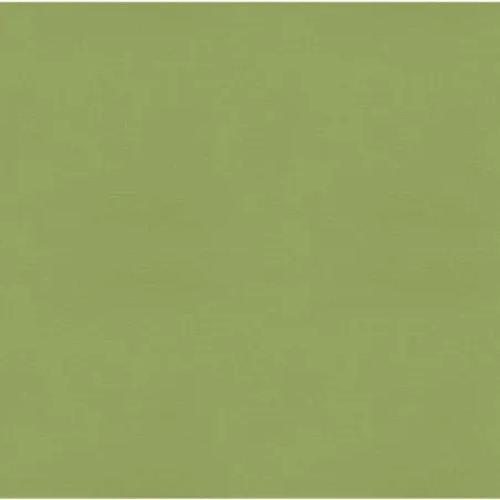 Canapés centraux de jardin coussins 2pcs marron résine tressée