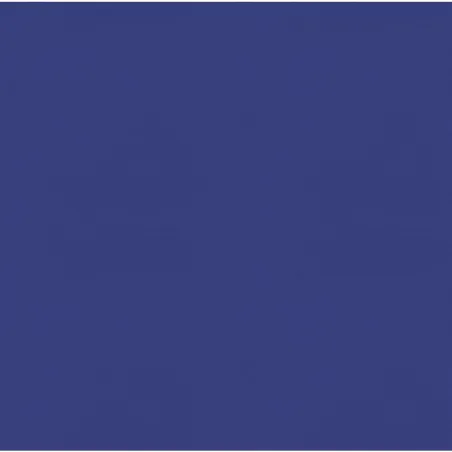 Canapés centraux de jardin et coussins 2pcs Gris Résine tressée