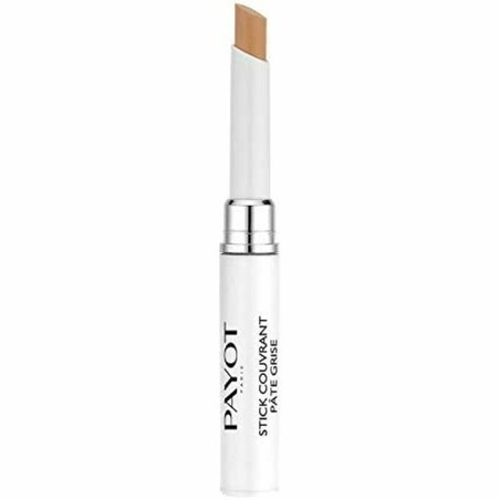 Correttore a Penna Payot Stylo 2-En-1 Anti-Imperfections