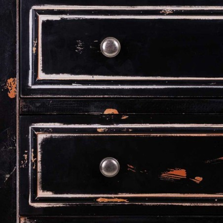 Armoire Alexandra House Living Noir verre Bois d'épicéa 100 % Métal