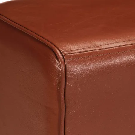 Banc saut de cheval 160 cm Marron Cuir véritable et bois acacia