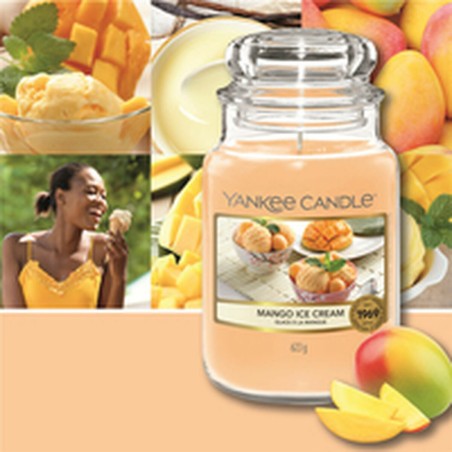 Bougie Parfumée Yankee Candle 10.00115.0543
