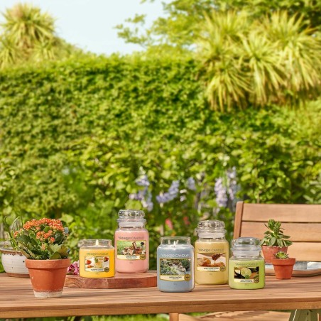 Duftkerze Yankee Candle 10.00114.0846