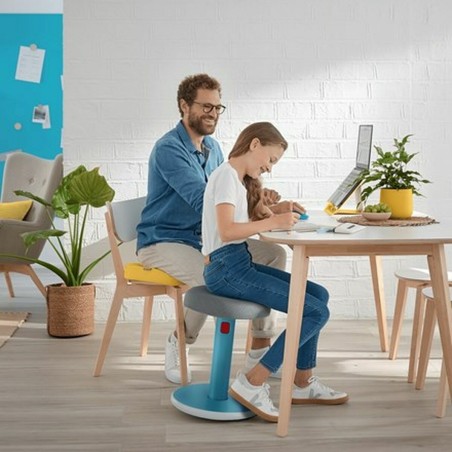 Sgabello Ergonomico Leitz Ergo Cosy Active Plastica
