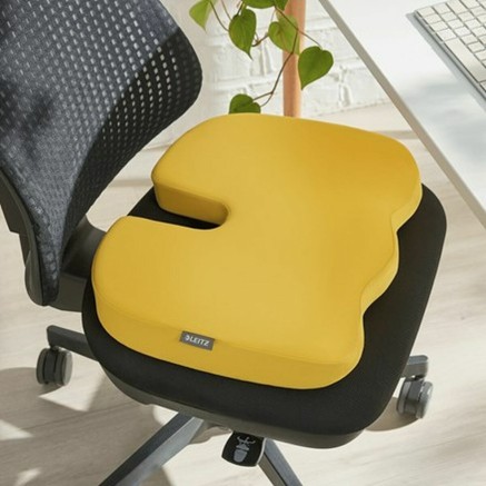 Coussin de chaise Leitz 2